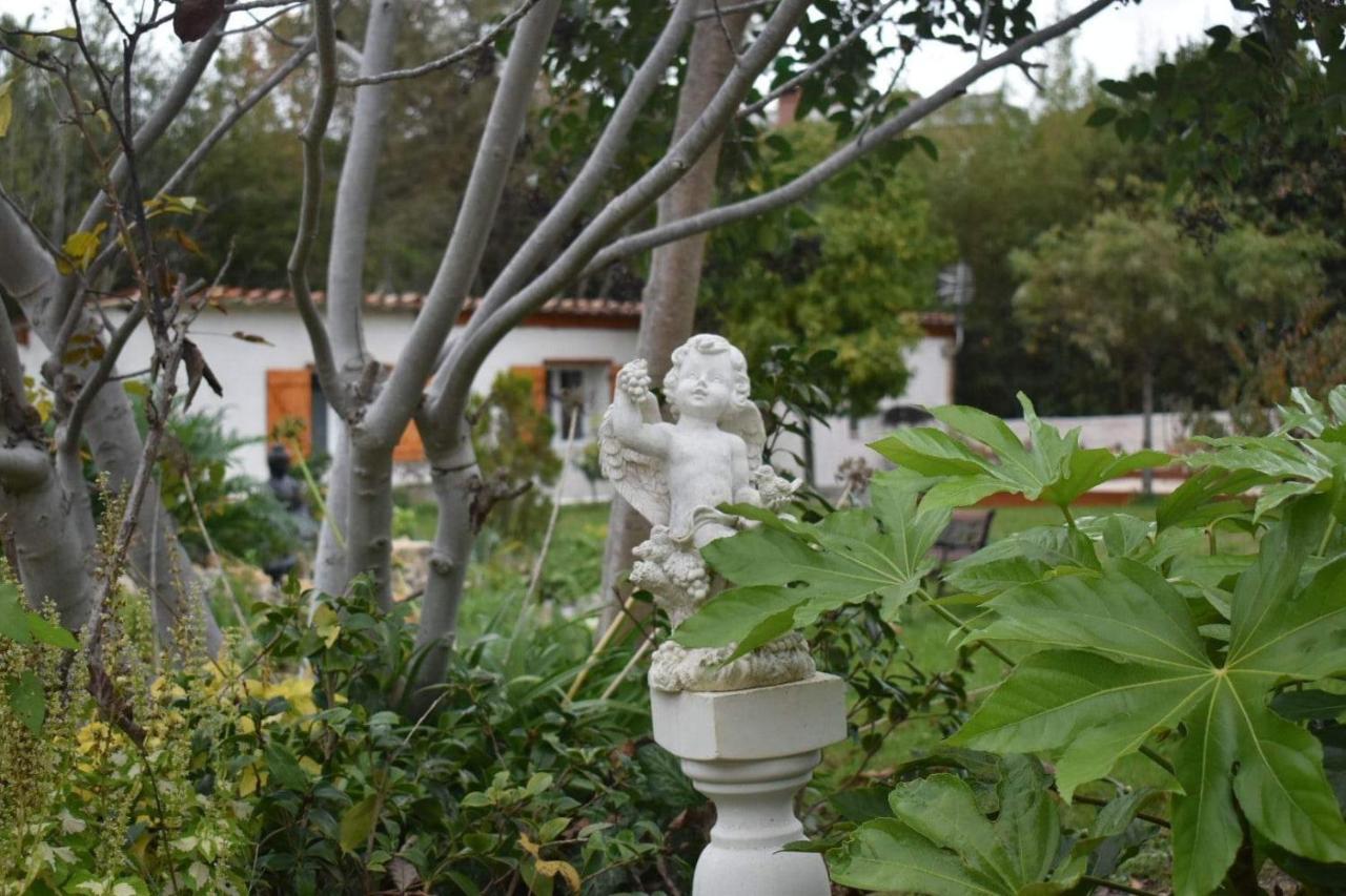 Magnifique Studio Indépendant Sur Mougins Extérieur photo